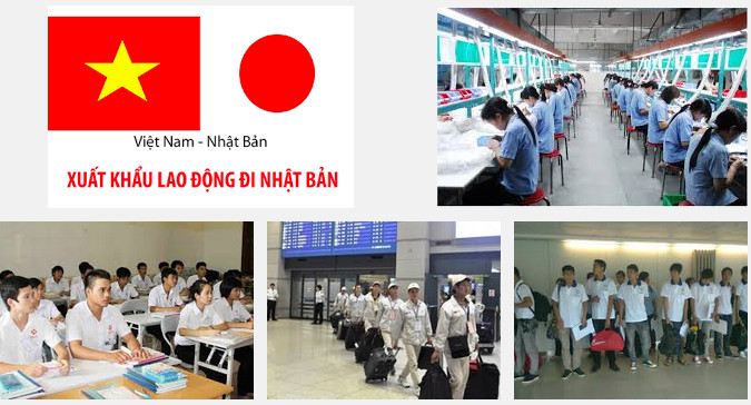 Thị trường XKLD Nhật Bản