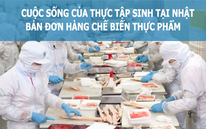 Cuộc sống của thực tập sinh tại Nhật Bản đơn hàng chế biến thực phẩm