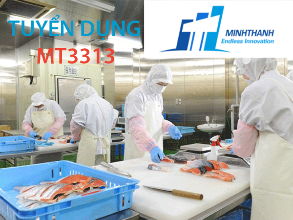 Tuyển dụng đơn hàng chế biến đồ ăn trong các nhà ăn của trường học, bệnh viện – MT3313