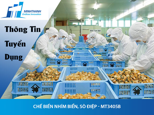 Tuyển dụng đơn hàng Chế biến nhím biển, sò điệp – MT3405B
