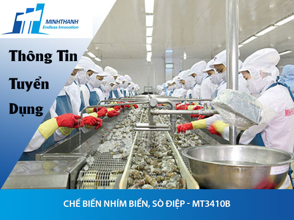 Tuyển dụng đơn hàng Chế biến nhím biển, sò điệp – MT3410B