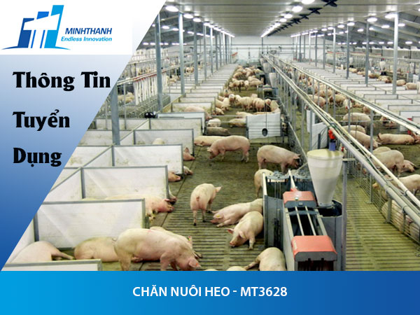Tuyển dụng đơn hàng chăn nuôi heo – MT3628