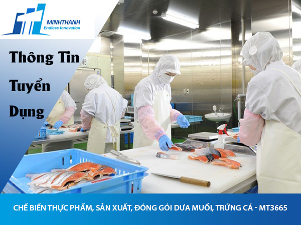 Tuyển dụng đơn hàng Chế biến thực phẩm, sản xuất, đóng gói dưa muối, trứng cá – MT3665