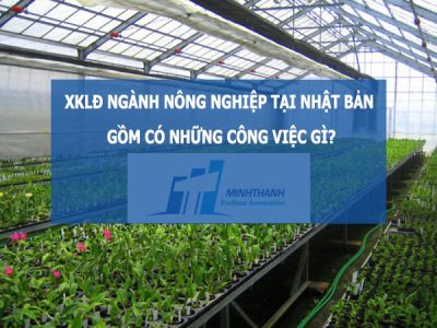 XKLĐ ngành nông nghiệp tại Nhật Bản gồm có những công việc gì?