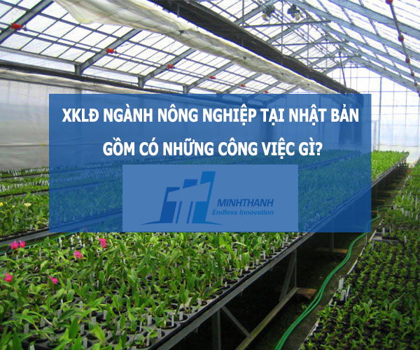 XKLĐ ngành nông nghiệp tại Nhật Bản gồm có những công việc gì?
