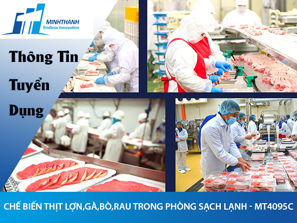 Tuyển dụng đơn hàng chế biến thịt lợn,gà,bò,rau trong phòng sạch lạnh – MT4095C