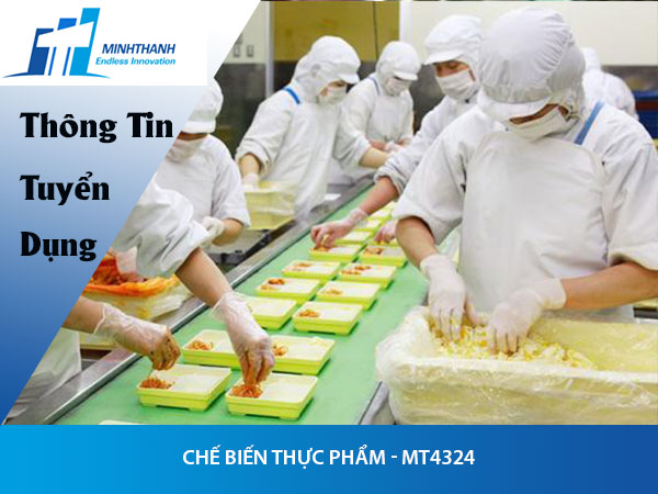 Tuyển dụng đơn hàng chế biến thực phẩm – MT4324